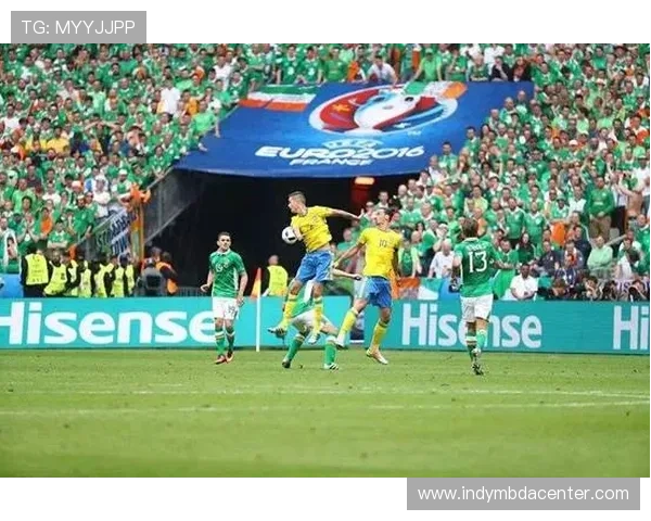 利用熊猫体育平台提升体育赛事的商业价值与品牌影响力